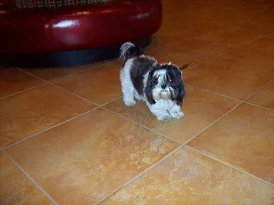 Hotel Abbazia Venetië